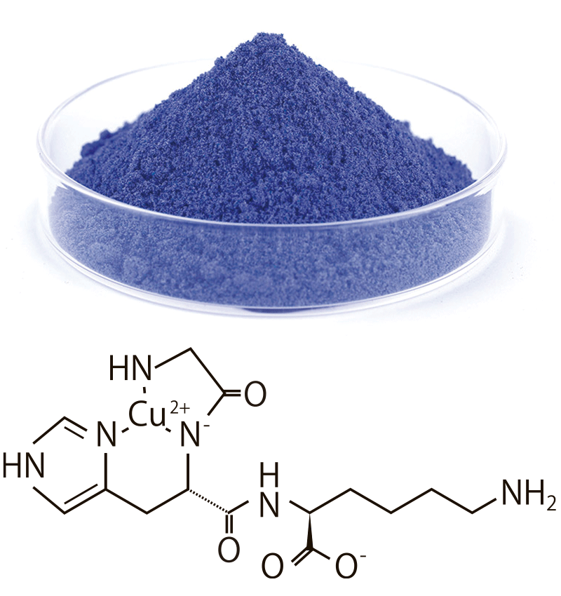 銅ペプチドとは？