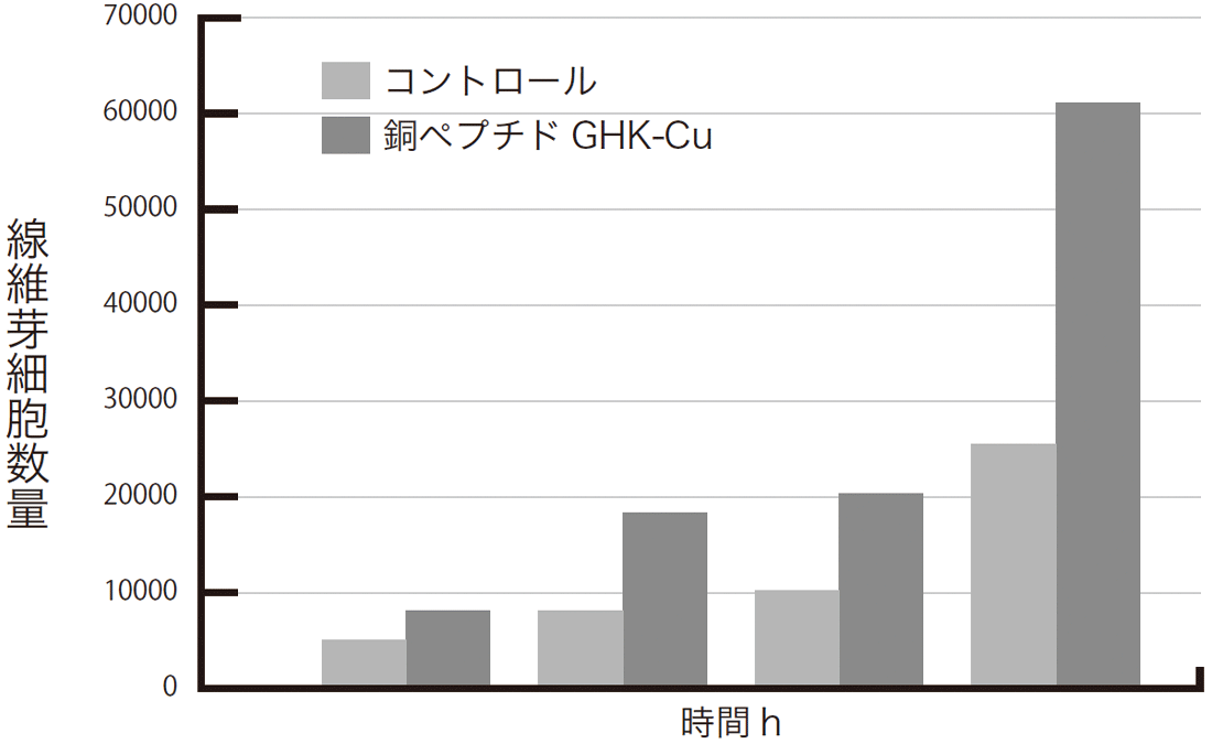 肌にとって銅ペプチドを補うことが大切