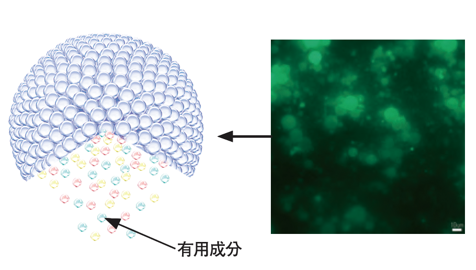 フェースデリバリーカプセル