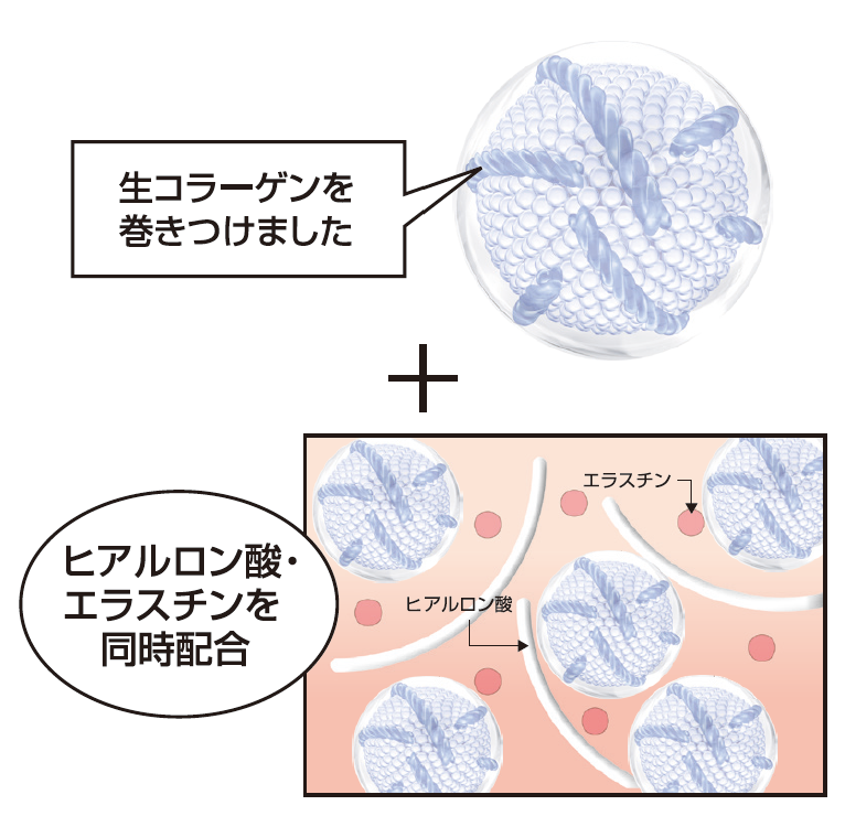 フェース生コラーゲン製剤
