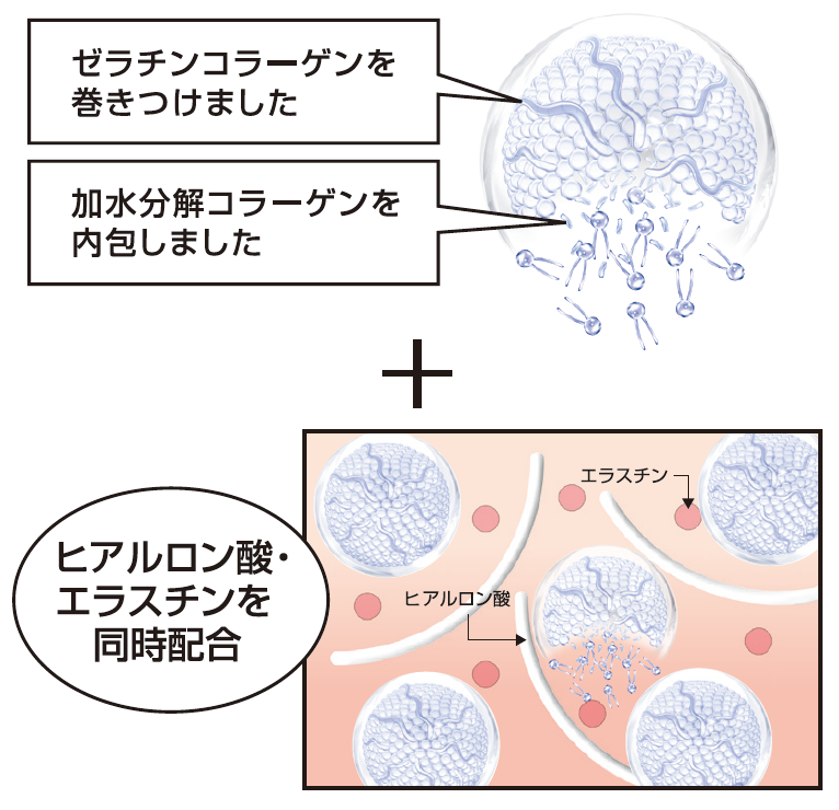 フェースゼラチンコラーゲン製剤