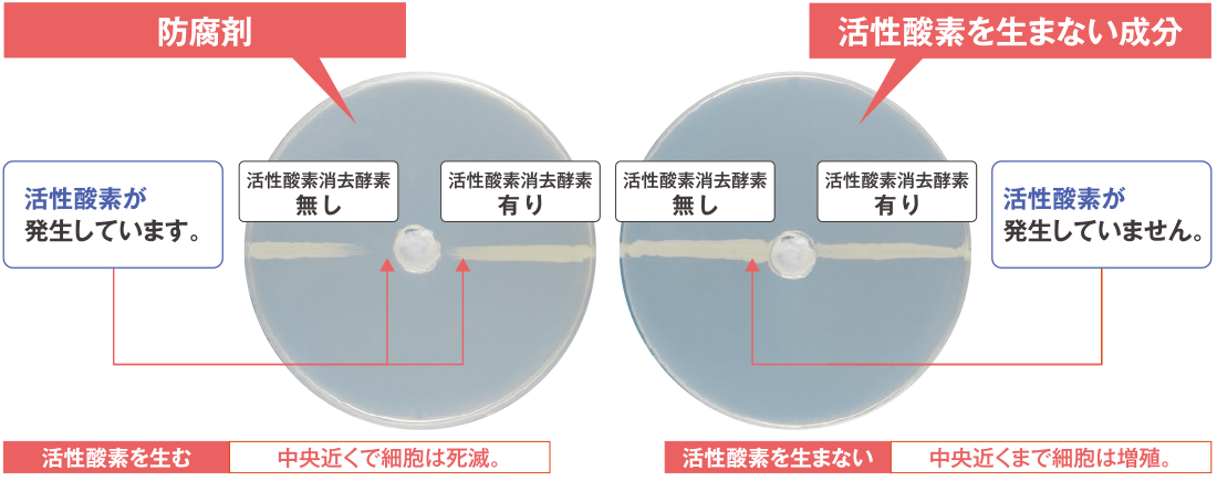 酵素欠損細胞